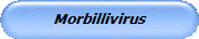 Morbillivirus
