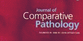 J_Comp_Path.gif (5121 bytes)